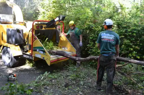 tree services McHenry